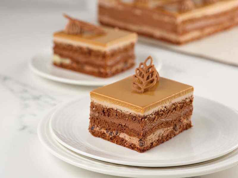 Rectangle cake Chocolate-banana