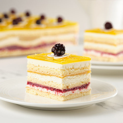 ПРЯМОУГОЛЬНЫЕ ТОРТЫ МИНИ